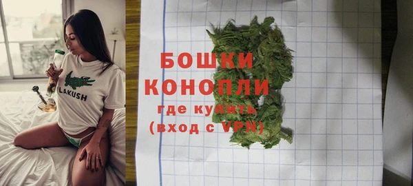 ПСИЛОЦИБИНОВЫЕ ГРИБЫ Бородино