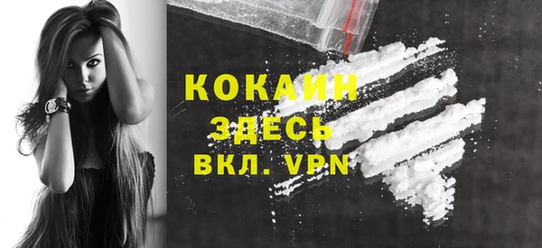 ешки Бронницы